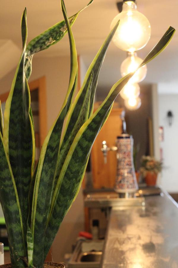 Hostal As Margaritas Σαντιάγο ντε Κομποστέλα Εξωτερικό φωτογραφία